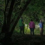 Can I Do a Night Walking Safari in Uganda?