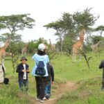 Can I Do a Walking Safari in Lake Mburo National Park?