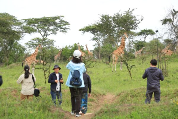 Can I Do a Walking Safari in Lake Mburo National Park?