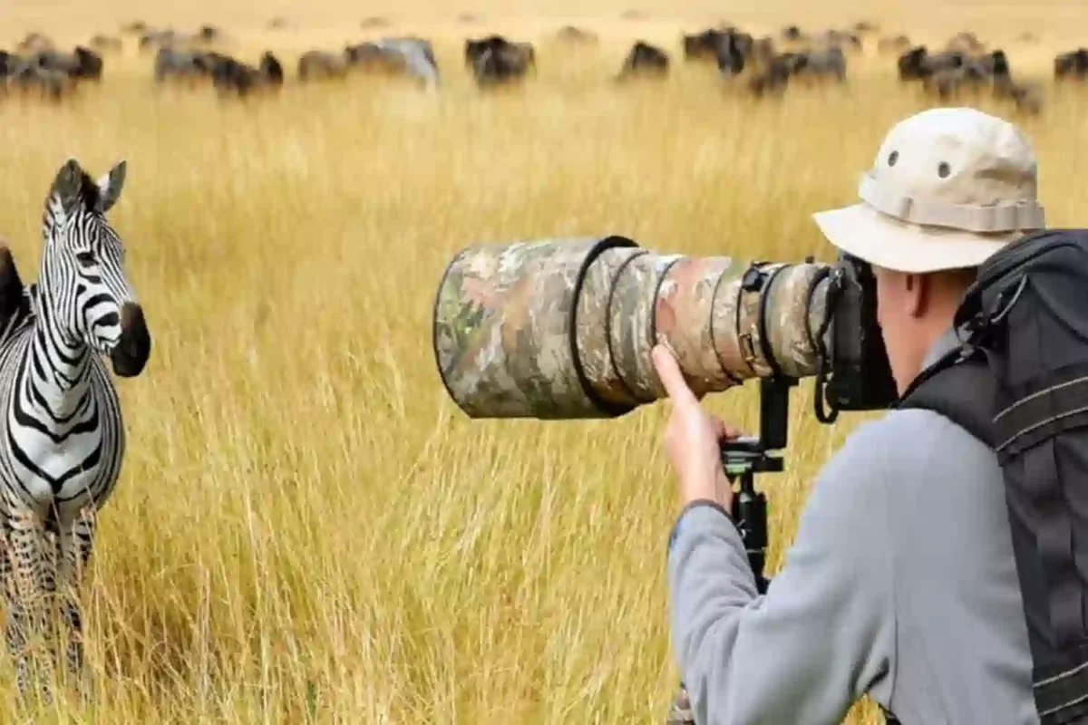 Can I Take a Photography-Focused Safari for the Great Migration?