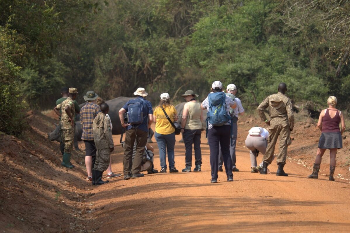 Do Walking Safaris in Uganda Cover Cultural Encounters?