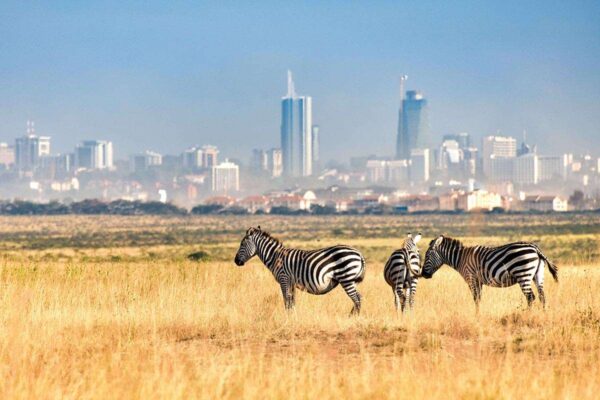 Which Park Is Closest to Nairobi