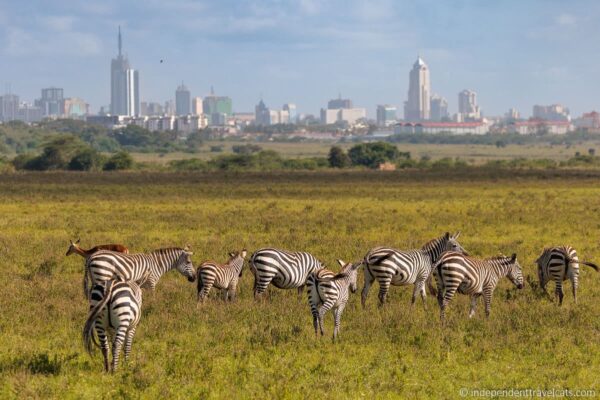Why is Nairobi called the “Safari Capital of the World”