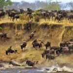 Serengeti National Park