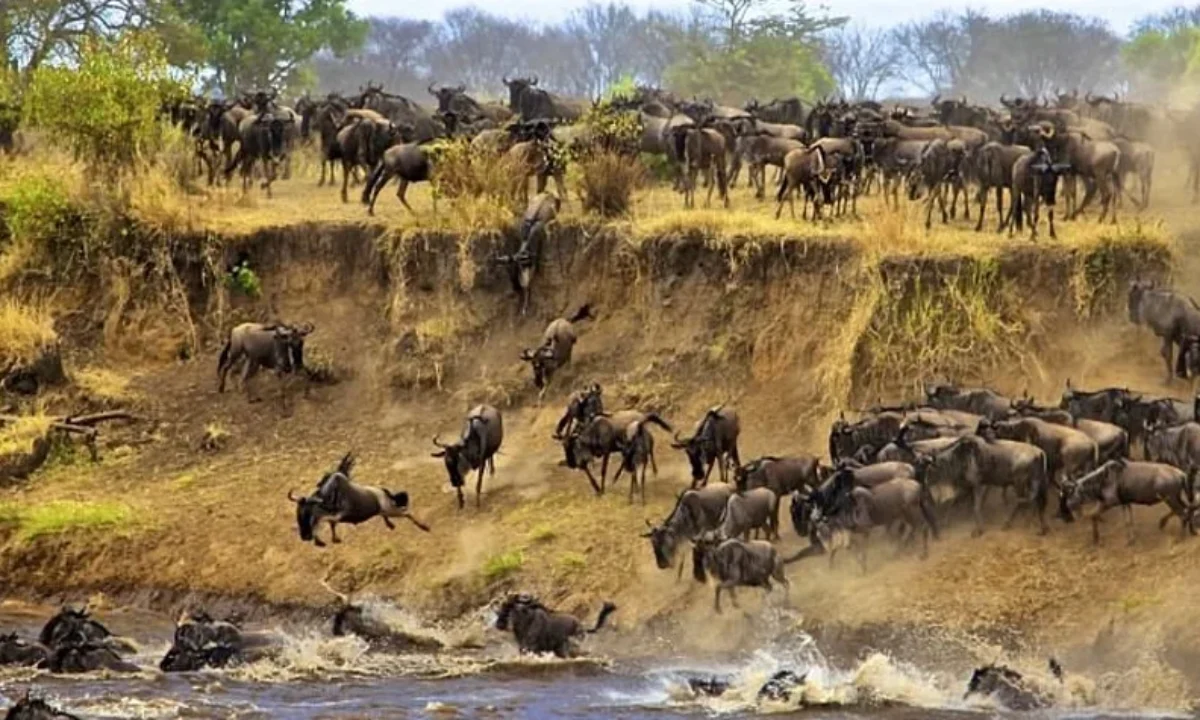 Serengeti National Park