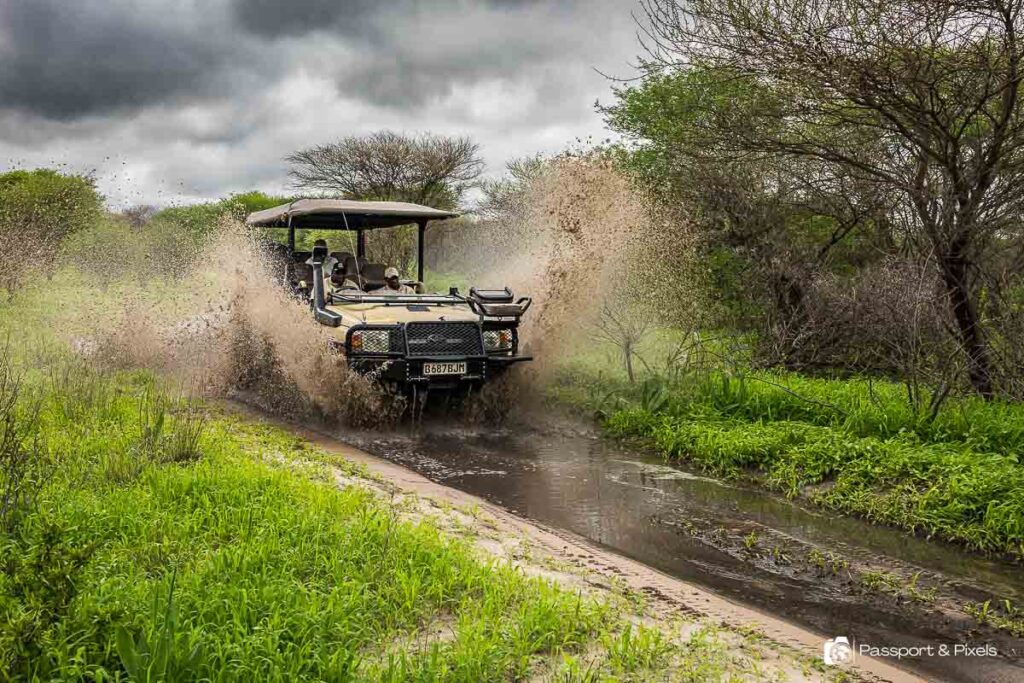 Is Safari Possible During the Rainy Season?