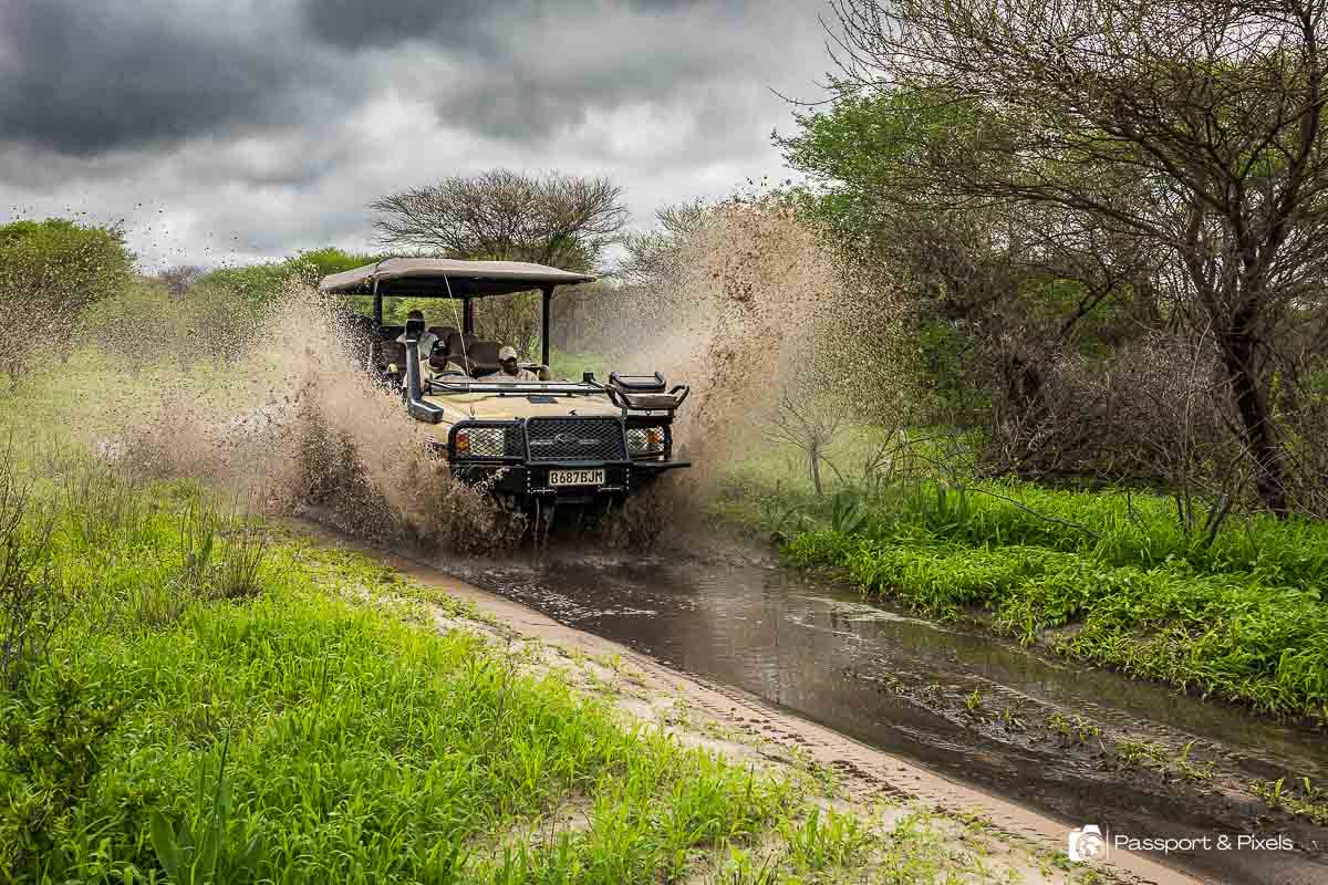 Is Safari Possible During the Rainy Season?