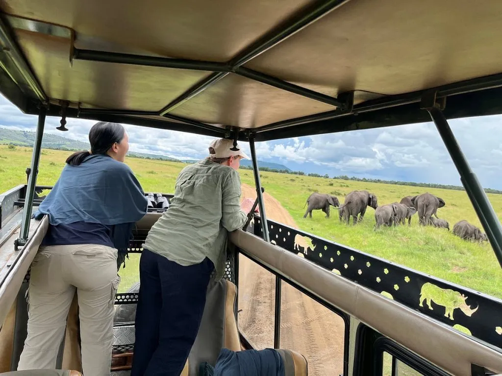 Is Wi-Fi Available During Safari Trips?
