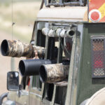 What Type of Vehicles Are Used for Game Drives.