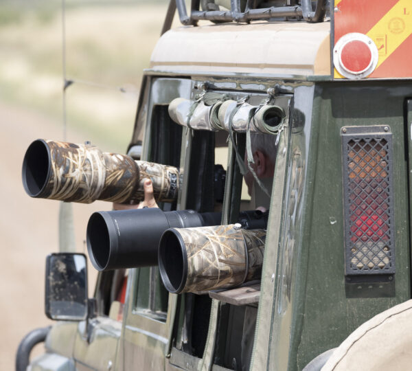Safari Tips and Tricks for First-Time Travelers in 2027