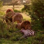 What animals can I see on a Kenya safari?