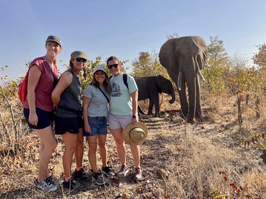 What is the Difference Between a Private and Group Safari?