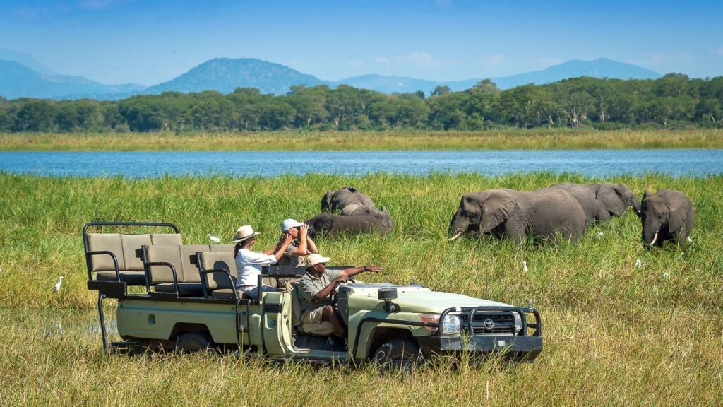 Are Game Drives Eco-Friendly?