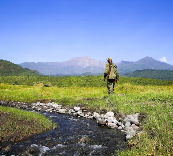 Tourist Activities to Do in Arusha National Park