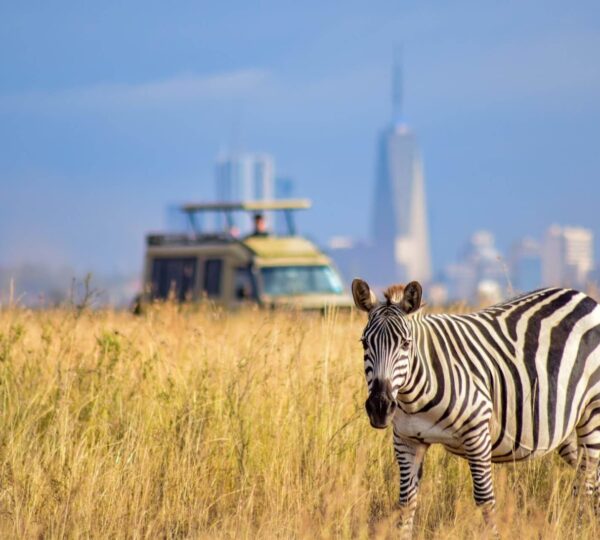 Why Visit Kenya?