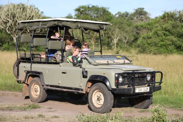 What is the Best Season for Game Drives During Safaris?