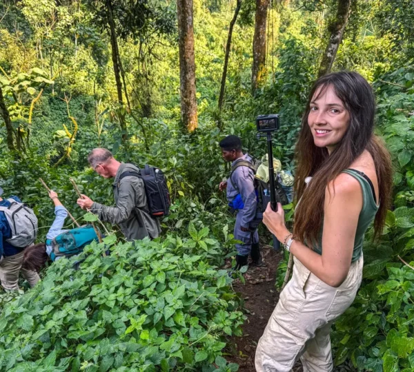 Guide to Bwindi Impenetrable Forest National Park 2027