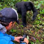 3-Day Rwanda Gorilla Trekking Tour