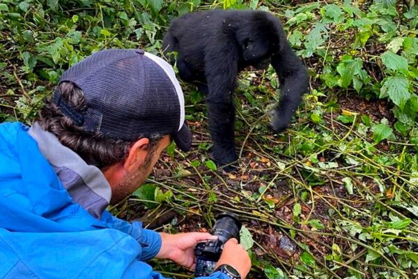 3-Day Rwanda Gorilla Trekking Tour