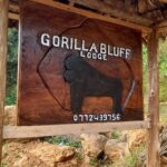 Gorilla Bluff Lodge