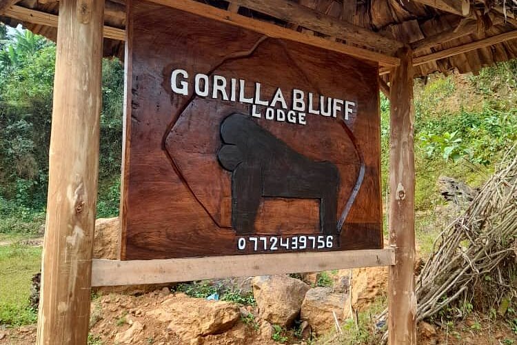 Gorilla Bluff Lodge