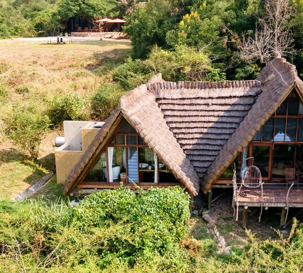 How to Plan a Uganda Safari?