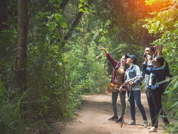 Best Family Friendly Safaris in Uganda
