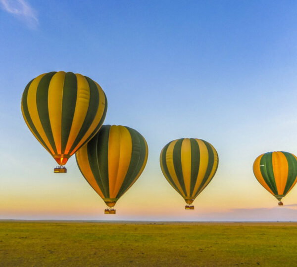 Best Time to Visit Kenya for a Safari
