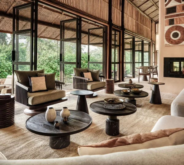 Best 5 Gorilla Safari Lodges in Uganda