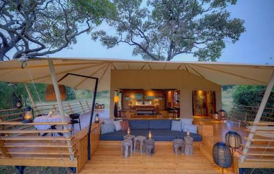 Serengeti Bushtops