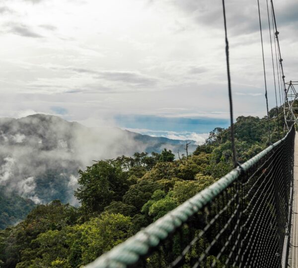 9 Days Highlights of Rwanda Safari