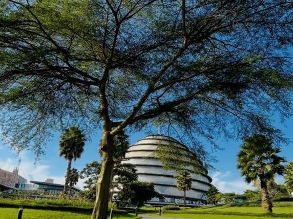 Best Time to Visit Rwanda