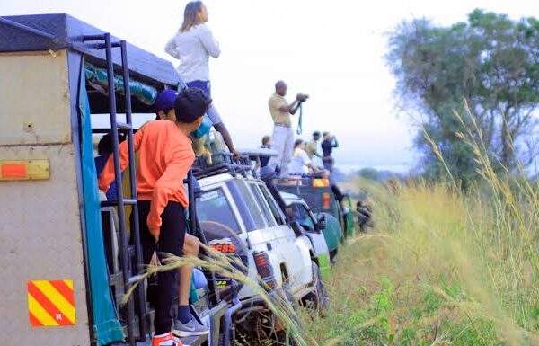 Where to Go for Game Drive Tours in Uganda