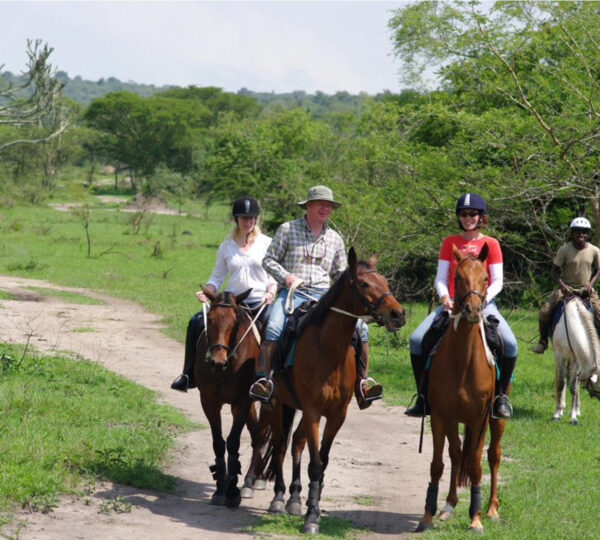 Best Family Friendly Safaris in Uganda