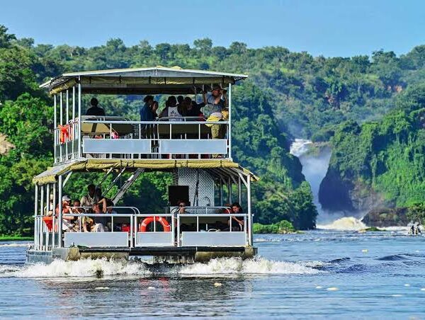Ultimate Guide to Planning an African Safari Trip