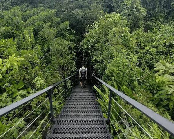 Best Time to Visit Rwanda
