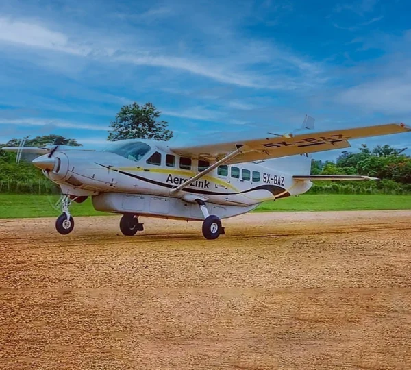 How to Choose the Best African Safari Tours