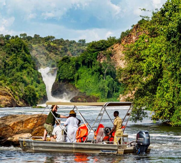 Where to Go for Photography Safaris in Uganda?