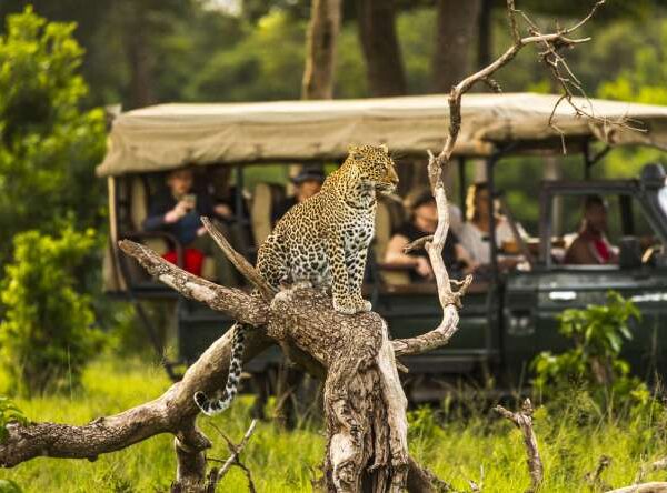 When Is the Best Time to Visit Africa?