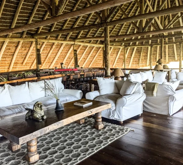 Best Lodges and Where to Stay in Kidepo Valley National Park