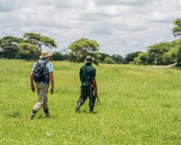Guide to Guided Walking Safaris in East Africa