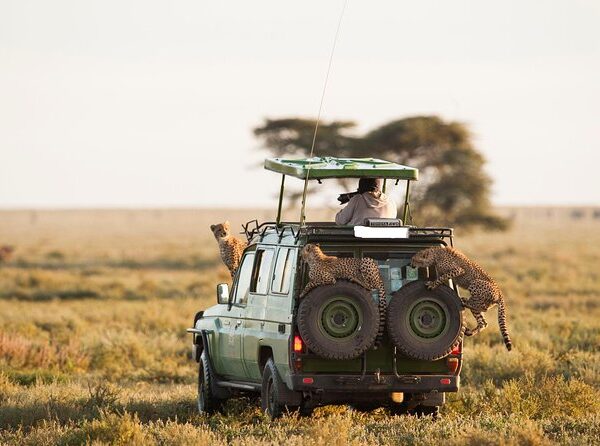 Private Tours in East Africa