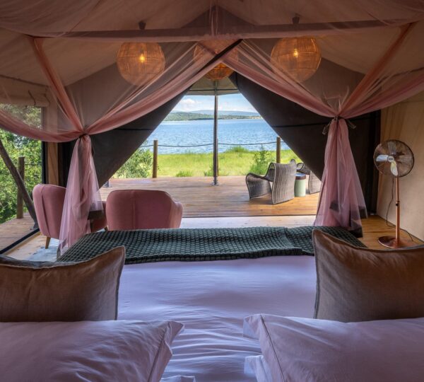 Top Luxury Camps in Rwanda to Stay in 2027