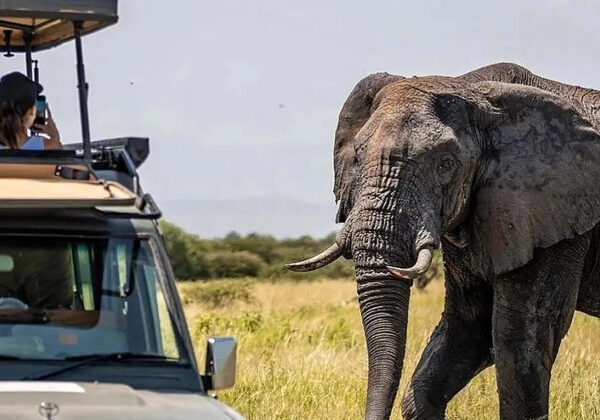 Private Tours in East Africa