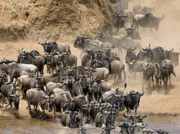 Top 10 Places to Visit in Tanzania