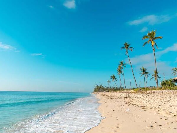 Ultimate Guide to Diani Beach Kenya
