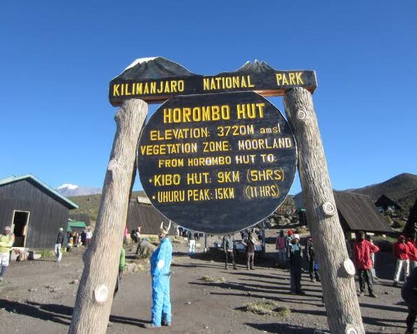 7 Days Marangu Route Kilimanjaro Climb