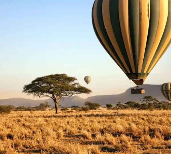 8 Days Kenya & Tanzania Safari