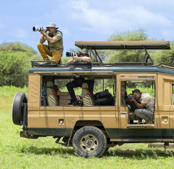 Tanzania Budget Safaris