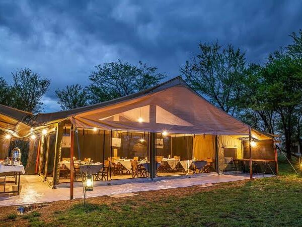 7 Days Highlights of Tanzania Safari